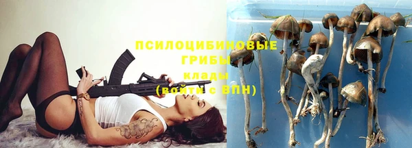 дмт Алексин