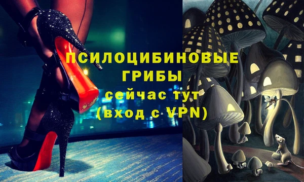 дмт Алексин